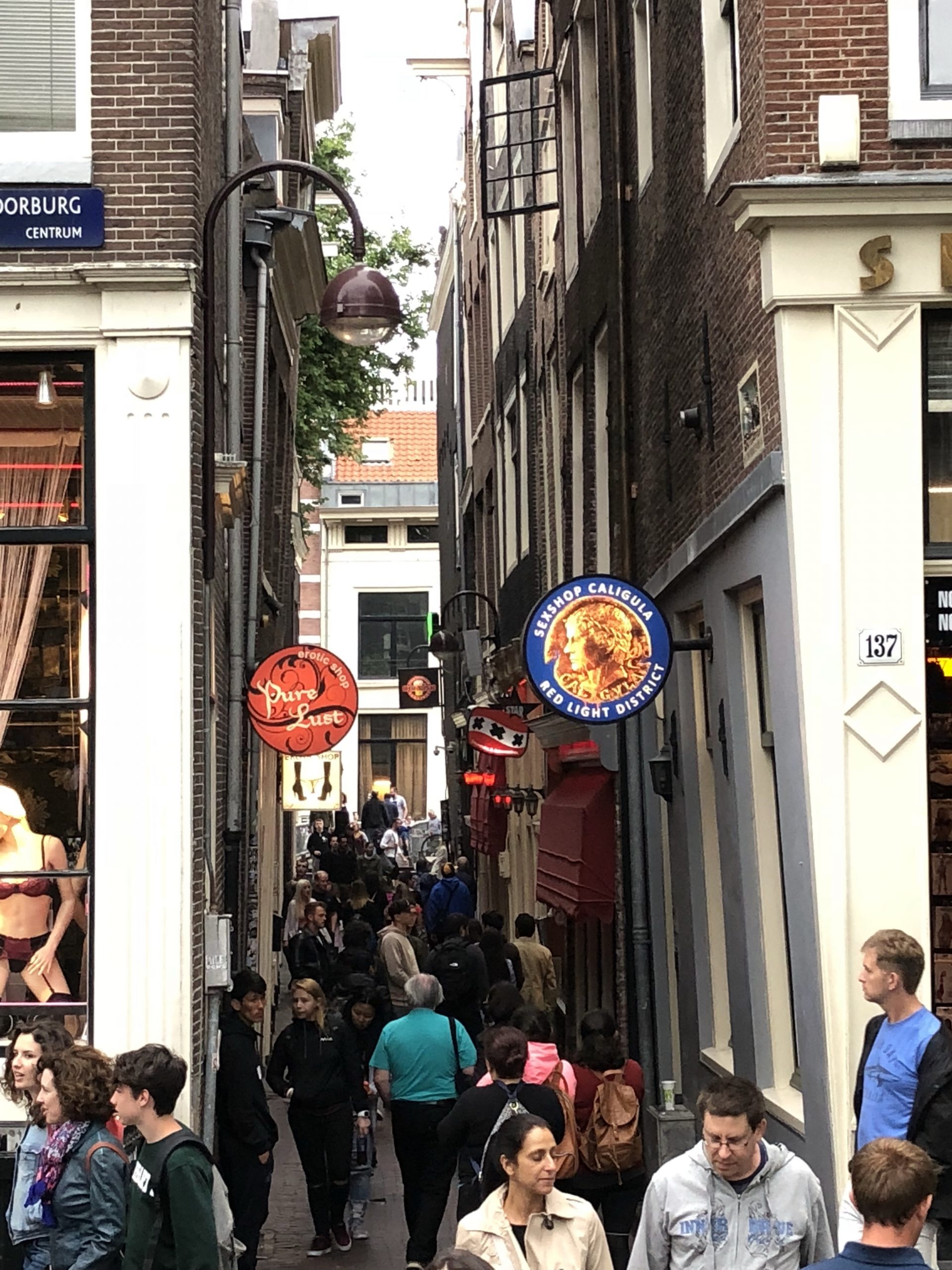 img_8070