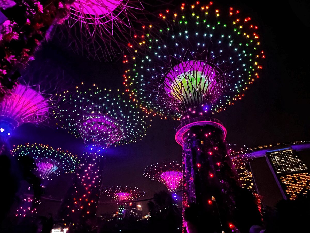 Gardens By The Bay 海滨湾花园