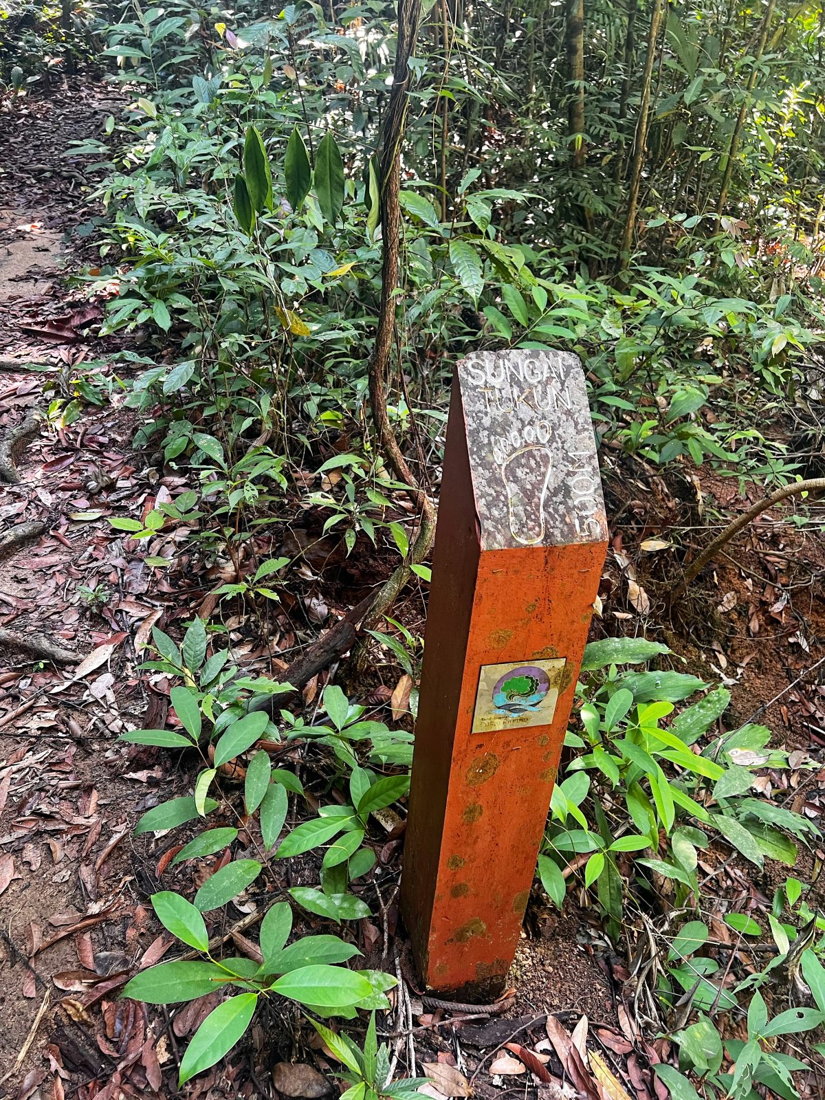 Week 10 of the Malaysia trip – 槟城第十周